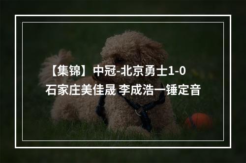 【集锦】中冠-北京勇士1-0石家庄美佳晟 李成浩一锤定音
