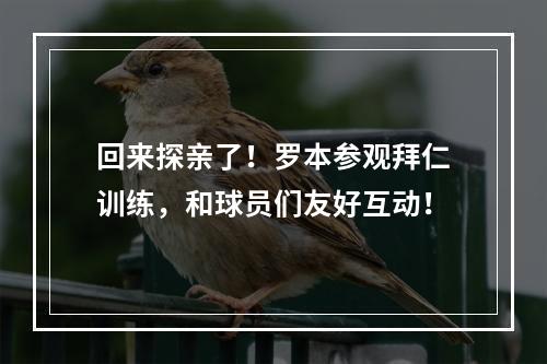 回来探亲了！罗本参观拜仁训练，和球员们友好互动！