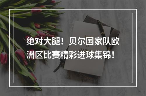 绝对大腿！贝尔国家队欧洲区比赛精彩进球集锦！