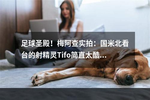 足球圣殿！梅阿查实拍：国米北看台的射精灵Tifo简直太酷炫
