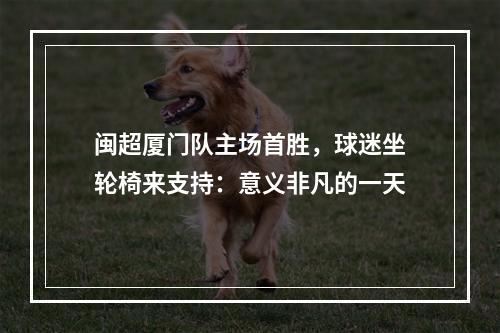 闽超厦门队主场首胜，球迷坐轮椅来支持：意义非凡的一天