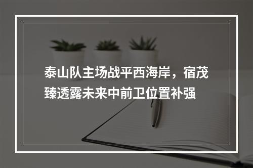 泰山队主场战平西海岸，宿茂臻透露未来中前卫位置补强
