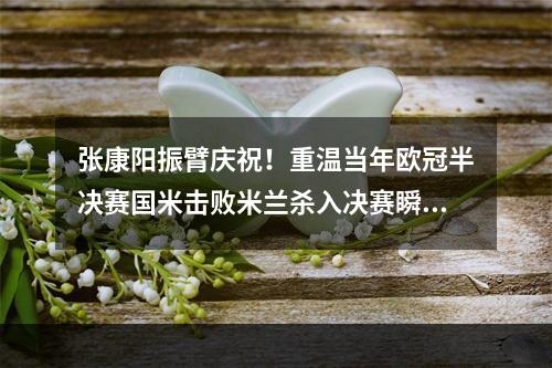 张康阳振臂庆祝！重温当年欧冠半决赛国米击败米兰杀入决赛瞬间