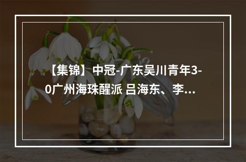【集锦】中冠-广东吴川青年3-0广州海珠醒派 吕海东、李营健破门