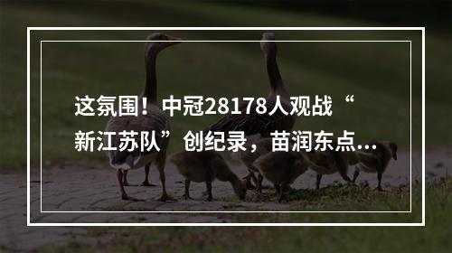 这氛围！中冠28178人观战“新江苏队”创纪录，苗润东点球