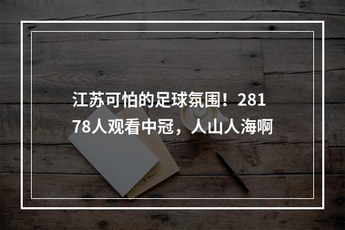 江苏可怕的足球氛围！28178人观看中冠，人山人海啊