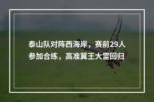 泰山队对阵西海岸，赛前29人参加合练，高准翼王大雷回归