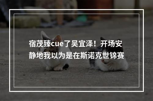 宿茂臻cue了吴宜泽！开场安静地我以为是在斯诺克世锦赛