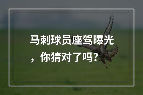 马刺球员座驾曝光，你猜对了吗？