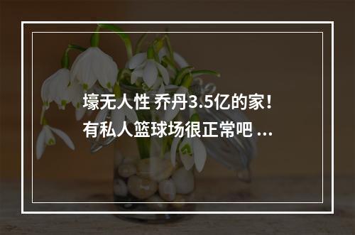 壕无人性 乔丹3.5亿的家！有私人篮球场很正常吧 ...
