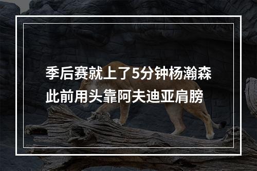 季后赛就上了5分钟杨瀚森此前用头靠阿夫迪亚肩膀
