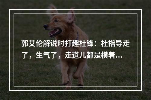 郭艾伦解说时打趣杜锋：杜指导走了，生气了，走道儿都是横着走的