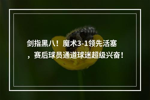剑指黑八！魔术3-1领先活塞，赛后球员通道球迷超级兴奋！