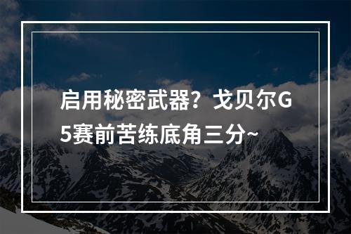 启用秘密武器？戈贝尔G5赛前苦练底角三分~