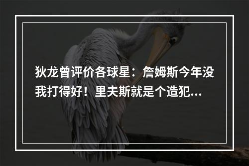 狄龙曾评价各球星：詹姆斯今年没我打得好！里夫斯就是个造犯规的