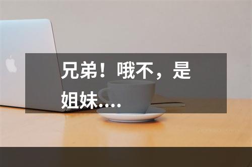 兄弟！哦不，是姐妹....