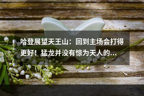 哈登展望天王山：回到主场会打得更好！猛龙并没有惊为天人的表现