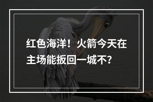 红色海洋！火箭今天在主场能扳回一城不？