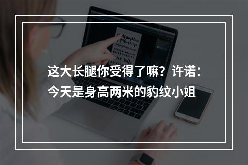 这大长腿你受得了嘛？许诺：今天是身高两米的豹纹小姐