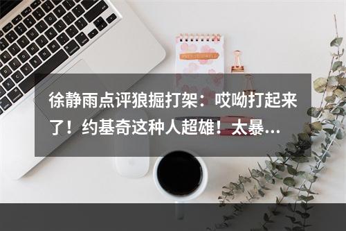徐静雨点评狼掘打架：哎呦打起来了！约基奇这种人超雄！太暴力
