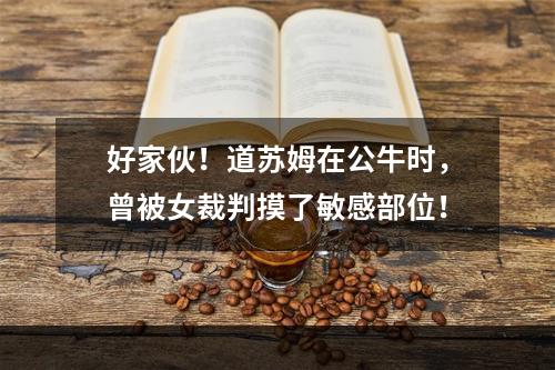 好家伙！道苏姆在公牛时，曾被女裁判摸了敏感部位！