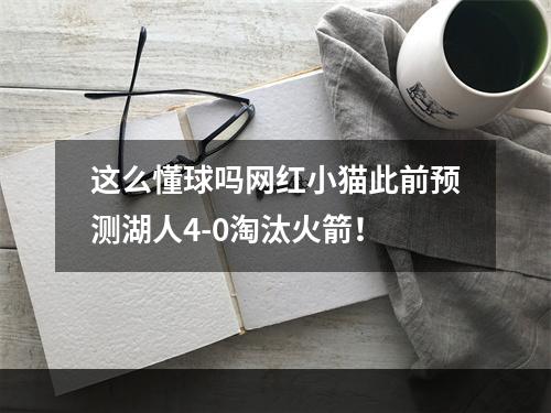 这么懂球吗网红小猫此前预测湖人4-0淘汰火箭！