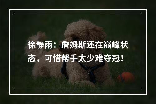 徐静雨：詹姆斯还在巅峰状态，可惜帮手太少难夺冠！