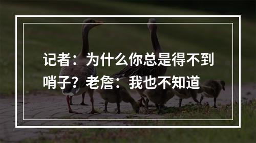 记者：为什么你总是得不到哨子？老詹：我也不知道