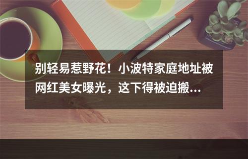别轻易惹野花！小波特家庭地址被网红美女曝光，这下得被迫搬家了