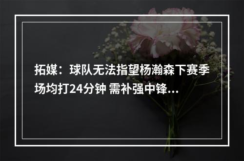 拓媒：球队无法指望杨瀚森下赛季场均打24分钟 需补强中锋！