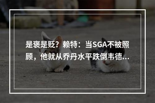 是褒是贬？赖特：当SGA不被照顾，他就从乔丹水平跌倒韦德水平！