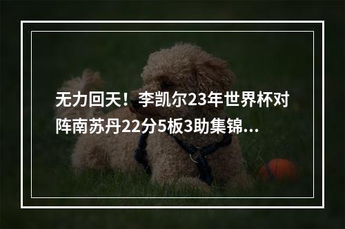 无力回天！李凯尔23年世界杯对阵南苏丹22分5板3助集锦！