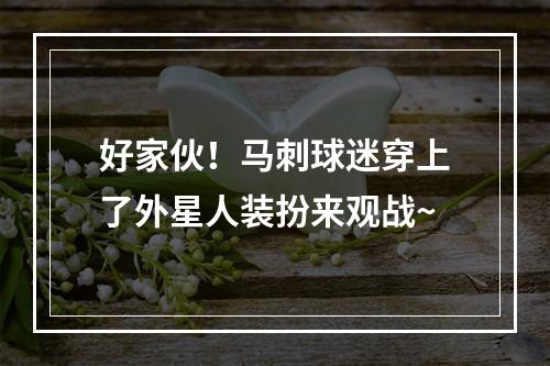好家伙！马刺球迷穿上了外星人装扮来观战~