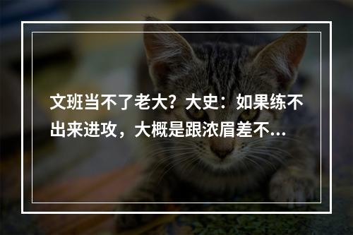 文班当不了老大？大史：如果练不出来进攻，大概是跟浓眉差不多！