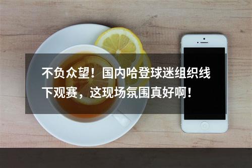 不负众望！国内哈登球迷组织线下观赛，这现场氛围真好啊！