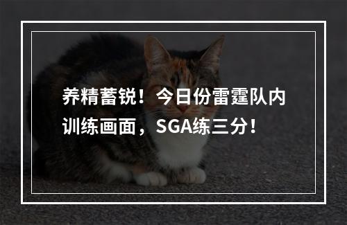 养精蓄锐！今日份雷霆队内训练画面，SGA练三分！