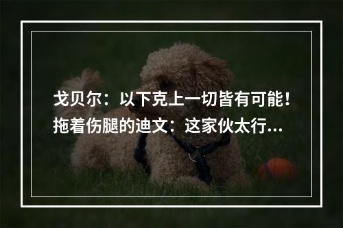 戈贝尔：以下克上一切皆有可能！拖着伤腿的迪文：这家伙太行了！