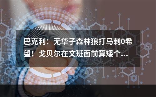 巴克利：无华子森林狼打马刺0希望！戈贝尔在文班面前算矮个子！